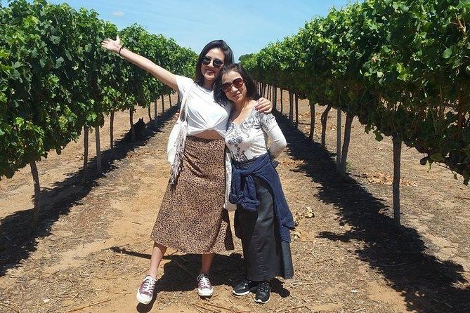 VIP Swan Valley Wine Tour - Premium Small Group Wine & Gourmet Experience - Key points before you book
