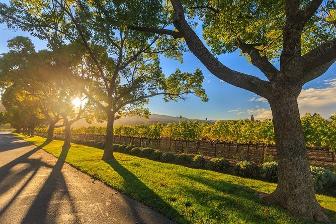 VIP Swan Valley Wine Tour - Premium Small Group Wine & Gourmet Experience - Why the Swan Valley works so well from Perth