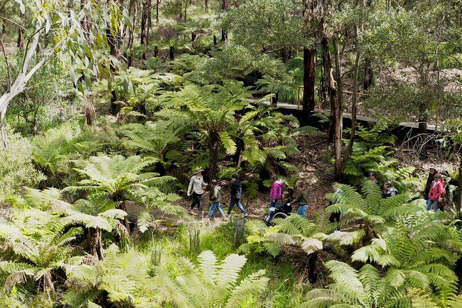 Walk with Wildlife: Guided Tour in Great Ocean Road - Following the 1.4-kilometer all-abilities path