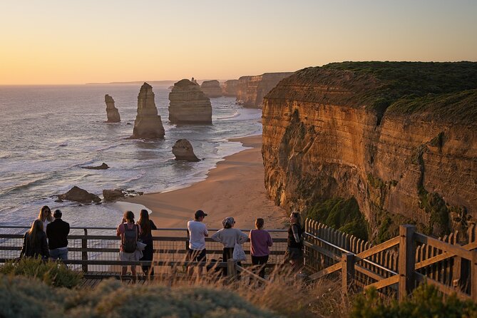 Walk with Wildlife: Guided Tour in Great Ocean Road - Practical advice for making the most of the visit