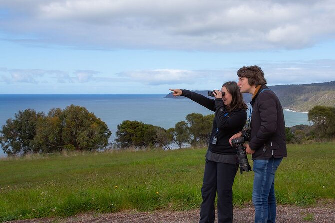Walk with Wildlife: Guided Tour in Great Ocean Road - Using binoculars to look for wildlife and birds