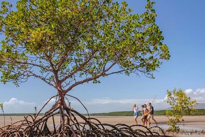 Walkabout Cultural Adventures - Ngana Julaymba Dungay Full Day - The Daintree Rainforest in an Aboriginal Context