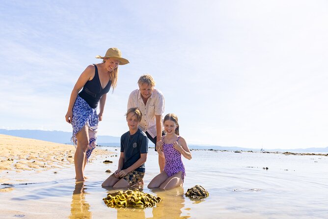 Wavedancer Low Isles Great Barrier Reef Sailing Cruise - Key things to know before booking