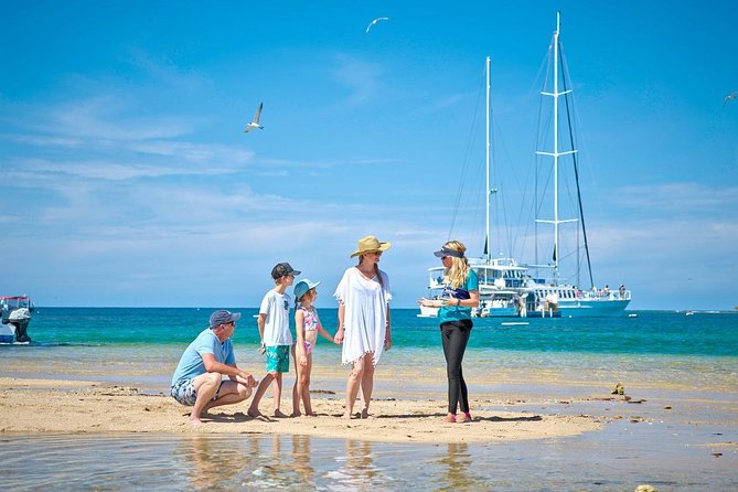Wavedancer Low Isles Great Barrier Reef Sailing Cruise - Walking the beach and tropical forest