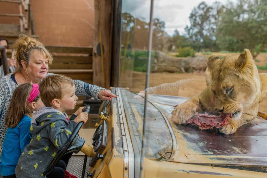 Werribee Open Range Zoo: Entry Ticket - Lions, gorillas, hippos, and monkeys on foot