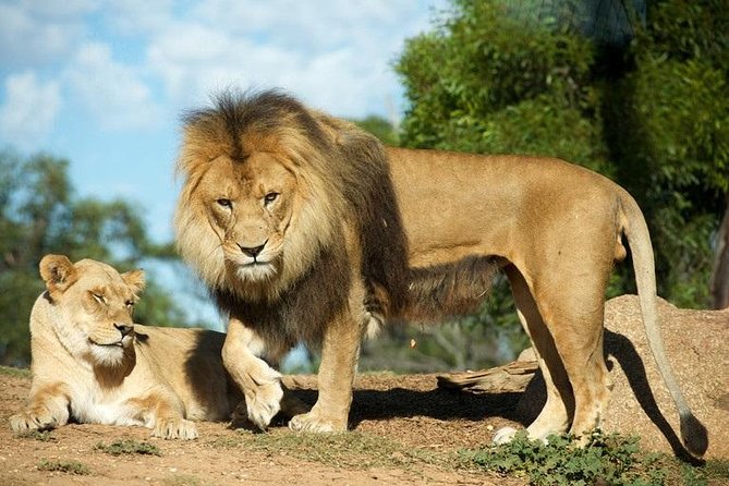 Werribee Open Range Zoo General Admission Ticket - Keeper talks make the ticket worth more
