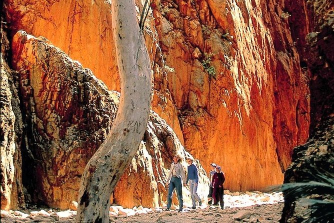 West MacDonnell Ranges Day Trip from Alice Springs - Simpsons Gap: an excellent first stop