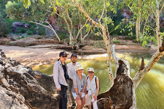 West MacDonnell Ranges Day Trip from Alice Springs - Ellery Creek Big Hole: the day’s refreshing finish