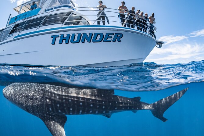 Whale Shark Safari - First stop: Coral Bay’s coral gardens