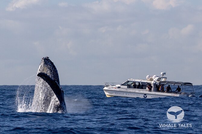 Whale Watching Boat Trip in Sydney - Sydney Harbour Bridge and Opera House views