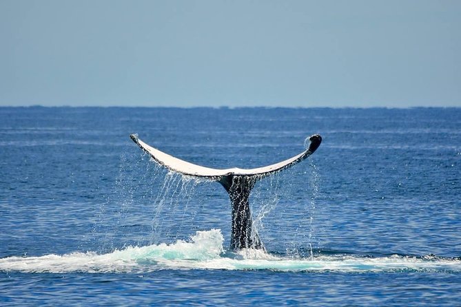 Whale Watching Busselton - Leaving Port Geographe Marina on Whalesong