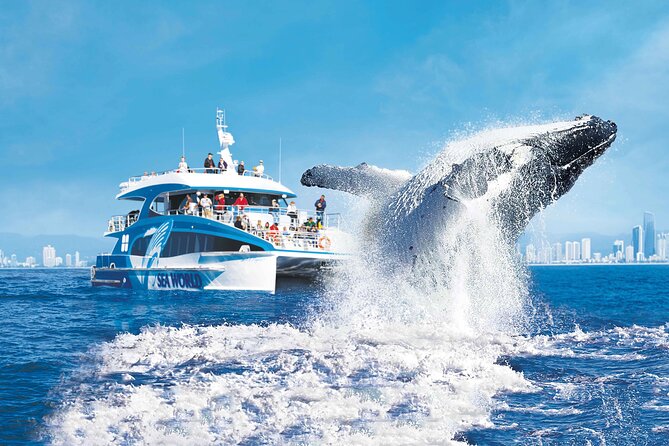 Whale Watching by Sea World Cruises - Leaving Main Beach with the Gold Coast behind you