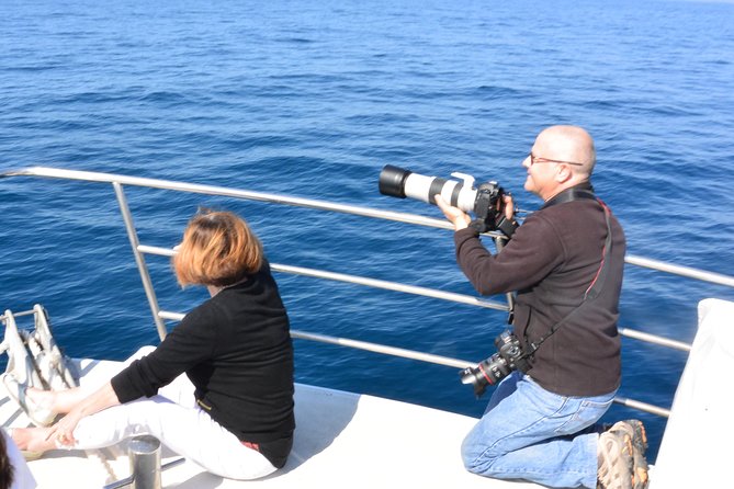 Whale Watching Cruise from Mooloolaba - Refreshments, comfort, and the three-hour rhythm