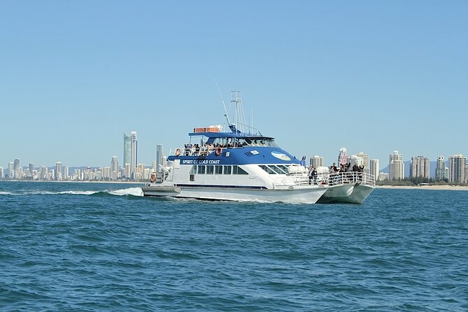 Whale Watching Tour with Spirit of Gold Coast - Who will enjoy this cruise most?