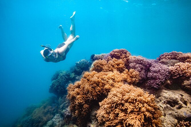 Whitehaven Beach and Hill Inlet Lookout Snorkeling Cruise - Five things to know before you book
