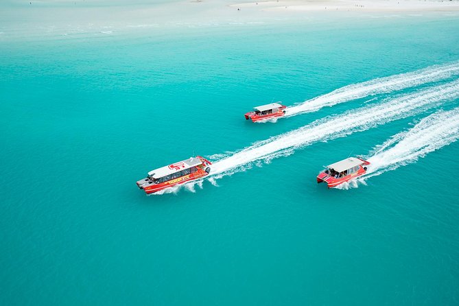 Whitehaven Beach and Hill Inlet Lookout Snorkeling Cruise - Buffet lunch, brownies, and practical food details