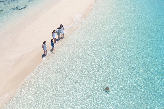 Whitehaven Beach and Hill Inlet Lookout Snorkeling Cruise - Is $164.97 good value?