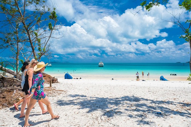 Whitehaven Beach Morning or Afternoon Tour - Two hours on the sand
