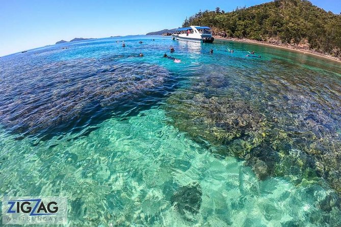 Whitehaven Beach Tour: 2 Options - All Day Beach Or Snorkel - Friendly staff are a real part of the value