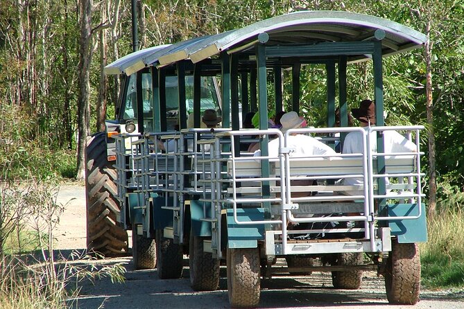Whitsunday Crocodile Safari - Five things to know before you book