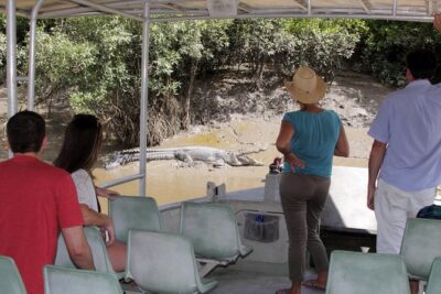 Whitsunday Crocodile Safari