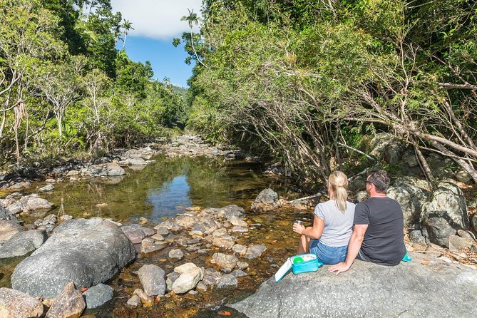 Whitsunday Segway Rainforest Discovery Tour - Impulse Creek and a proper morning tea