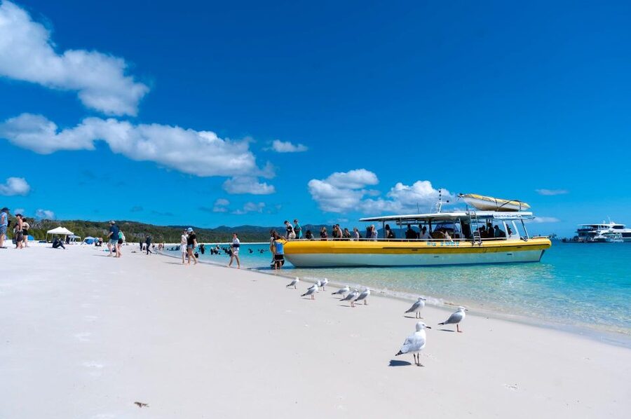 Whitsunday: Whitsunday Islands Tour with Snorkeling & Lunch - Weather, Whales, and What You Cannot Control