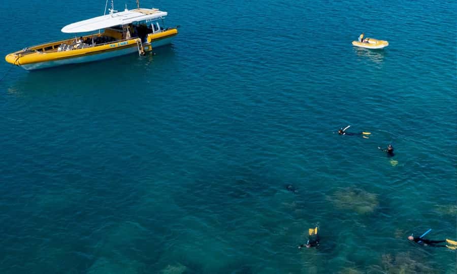 Whitsunday: Whitsunday Islands Tour with Snorkeling & Lunch - Is $162 Good Value?
