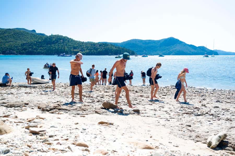 Whitsundays: 2 days 1 night Sailing, Snorkeling, Whitehaven - How to handle seasickness and comfort