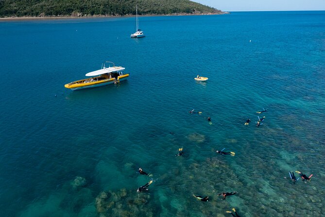 Whitsundays Day Cruise: Whitehaven Beach & Hill Inlet - Key points to know before booking