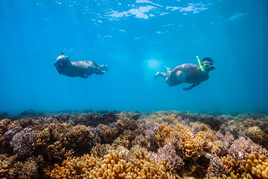 Whitsundays Sailing & Snorkelling Day Tour – All Inclusive - Who will enjoy the Tongarra day sail?