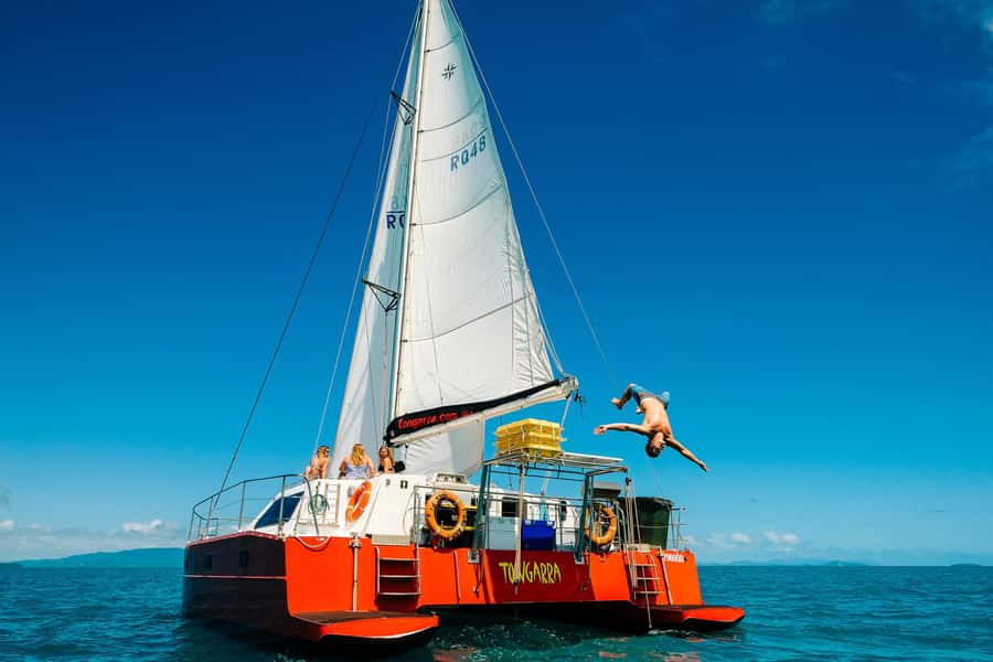 Whitsundays Sailing & Snorkelling Day Tour – All Inclusive - Reef snorkelling and the chance to see turtles