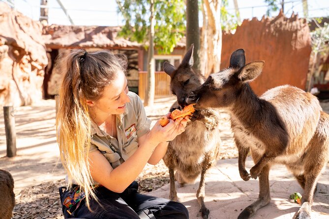 WILD LIFE Sydney Entrance Ticket - From yellow-footed wallabies to koalas