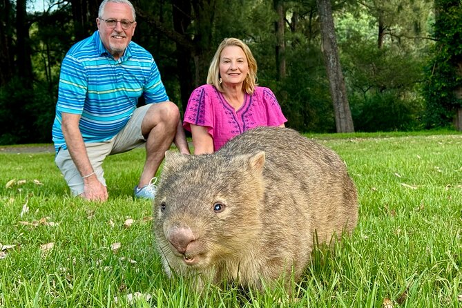 WILD Wombat and Kangaroo Day Tour, All Inclusive - Key points to know before you book