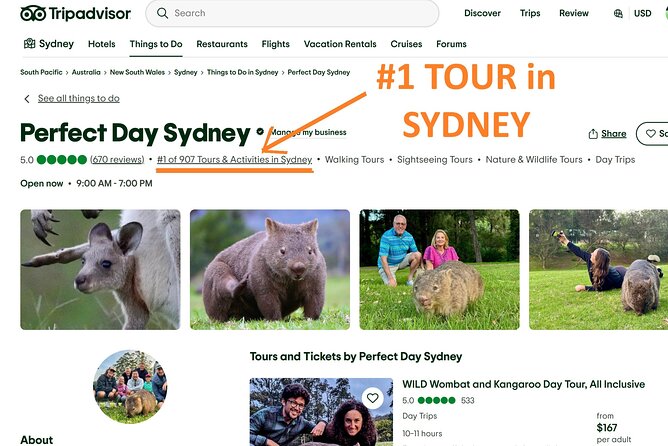 WILD Wombat and Kangaroo Day Tour, All Inclusive - Sublime Point Lookout starts the day with a cliff-edge view