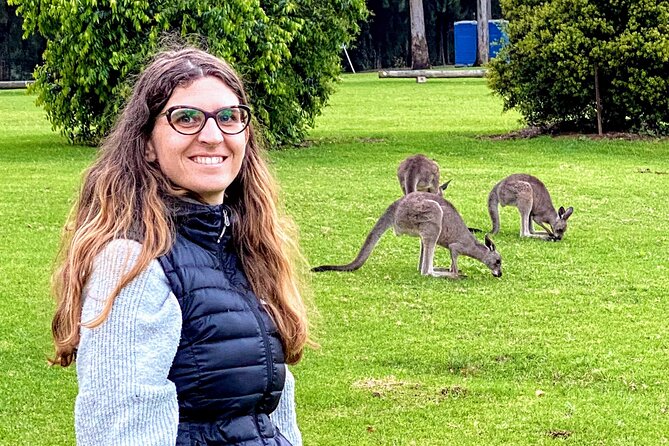 WILD Wombat and Kangaroo Day Tour, All Inclusive - Carrington Falls delivers the first major waterfall