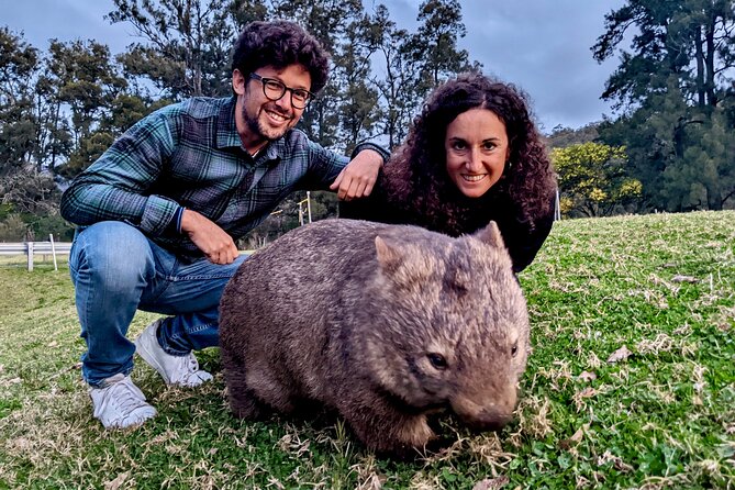 WILD Wombat and Kangaroo Day Tour, All Inclusive - Fitzroy Falls adds another photogenic park stop
