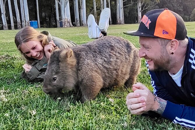 WILD Wombat and Kangaroo Day Tour, All Inclusive - Macquarie Pass brings a scenic hour on the road
