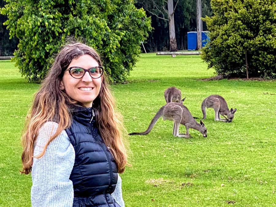 WILD Wombats and Kangaroo Experience, All Inclusive, Sydney - The quick facts that matter most
