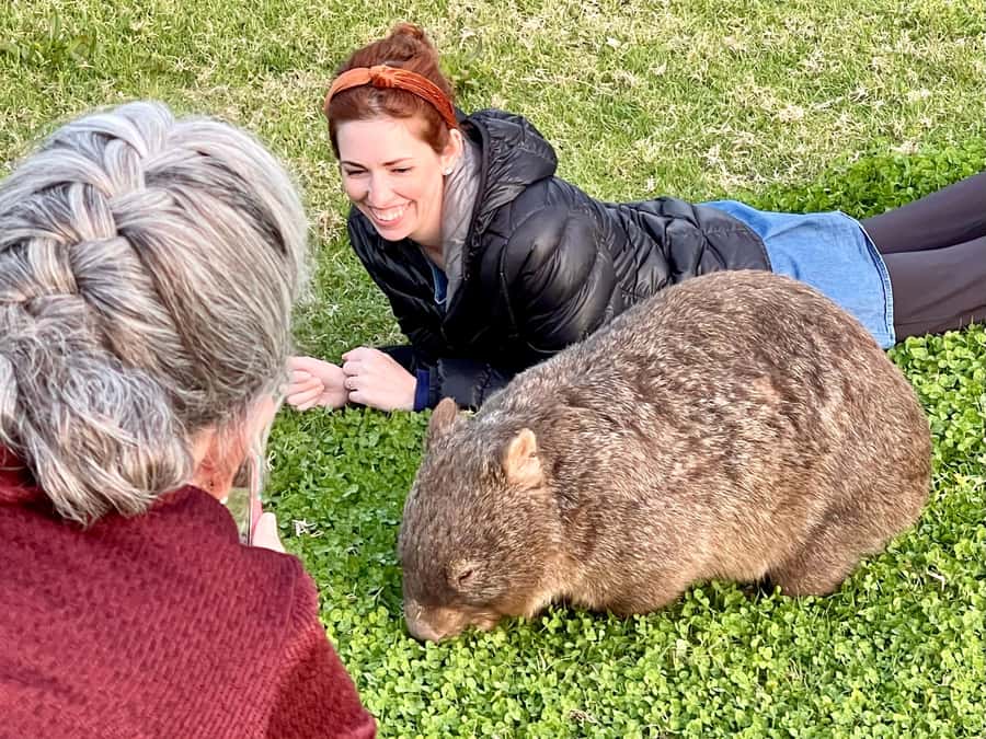 WILD Wombats and Kangaroo Experience, All Inclusive, Sydney - Who should book this experience?