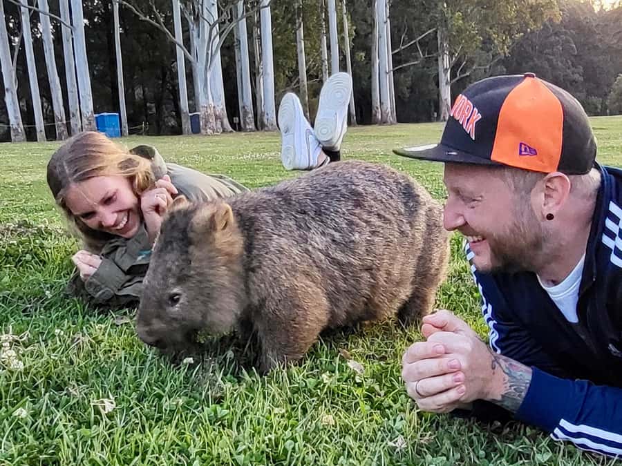 WILD Wombats and Kangaroo Experience, All Inclusive, Sydney - Why this Sydney wildlife day trip feels different