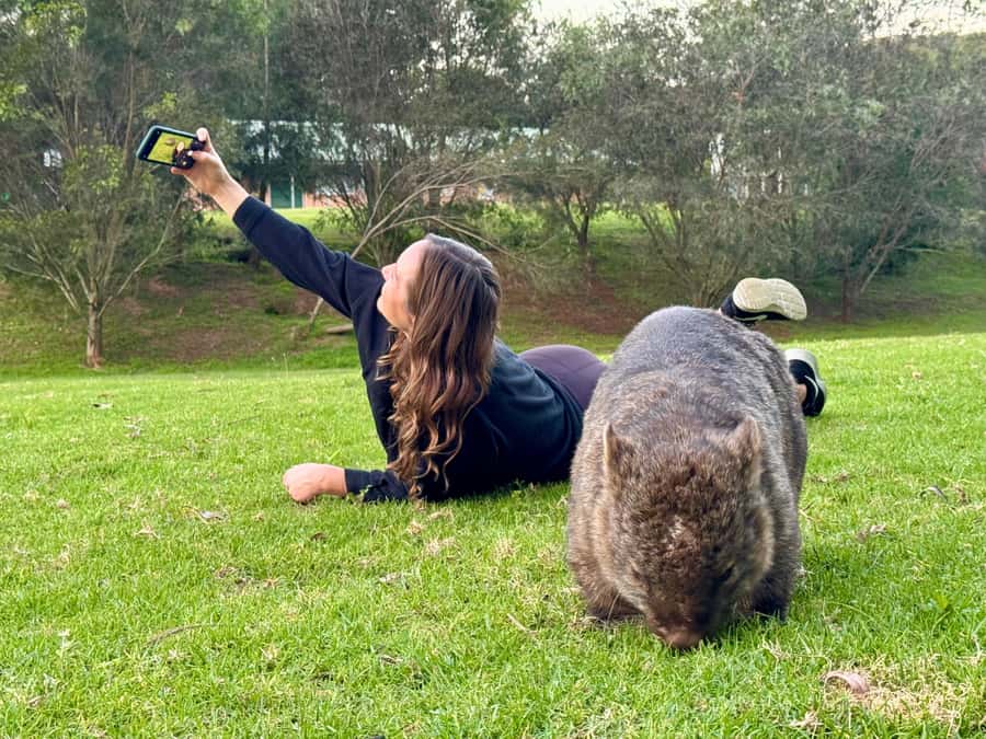 WILD Wombats and Kangaroo Experience, All Inclusive, Sydney - Macquarie Pass National Park and the waterfall country
