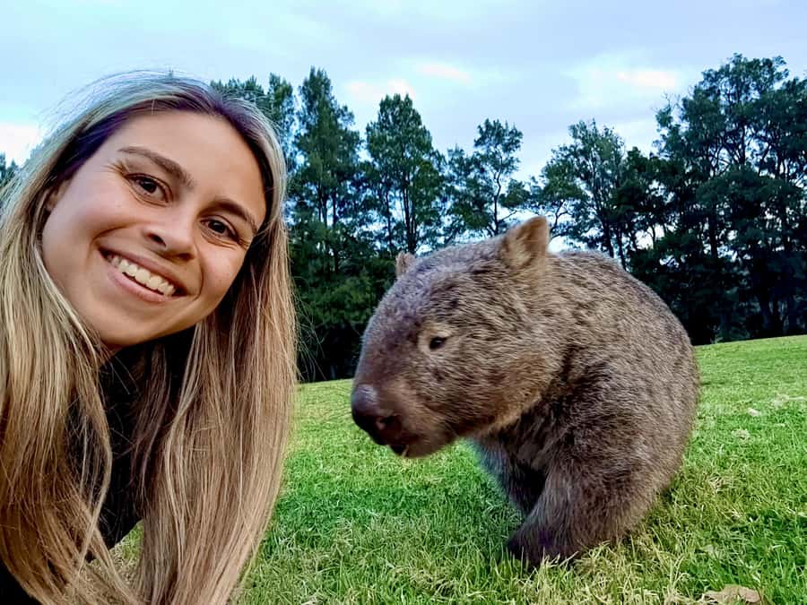 WILD Wombats and Kangaroo Experience, All Inclusive, Sydney - The country pub dinner and evening wildlife search