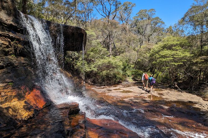 Wilderness, Waterfalls, Three Sisters BLUE MOUNTAINS PRIVATE TOUR - Echo Point and the Three Sisters are essential, but brief
