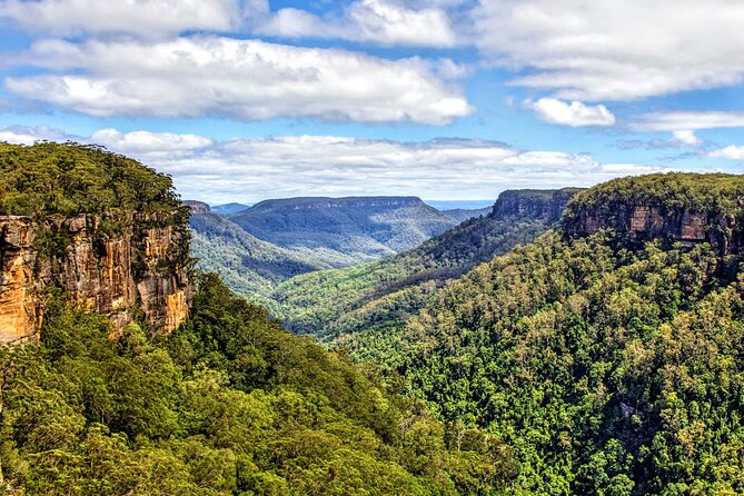 Wildlife, Waterfalls and Wine Day Tour from Sydney - What the guides add to the day