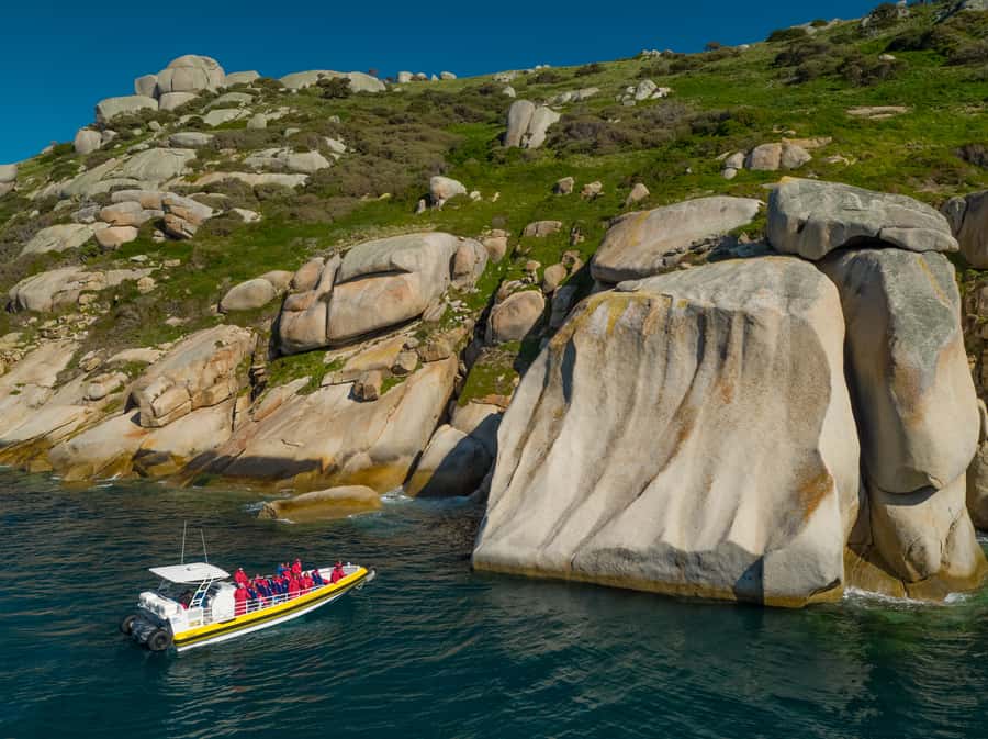 Wilsons Promontory: Afternoon Wilderness Cruise - Riding the custom amphibious boat