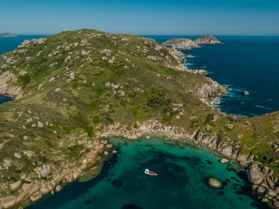 Wilsons Promontory: Afternoon Wilderness Cruise - Wildlife is a possibility, not a schedule