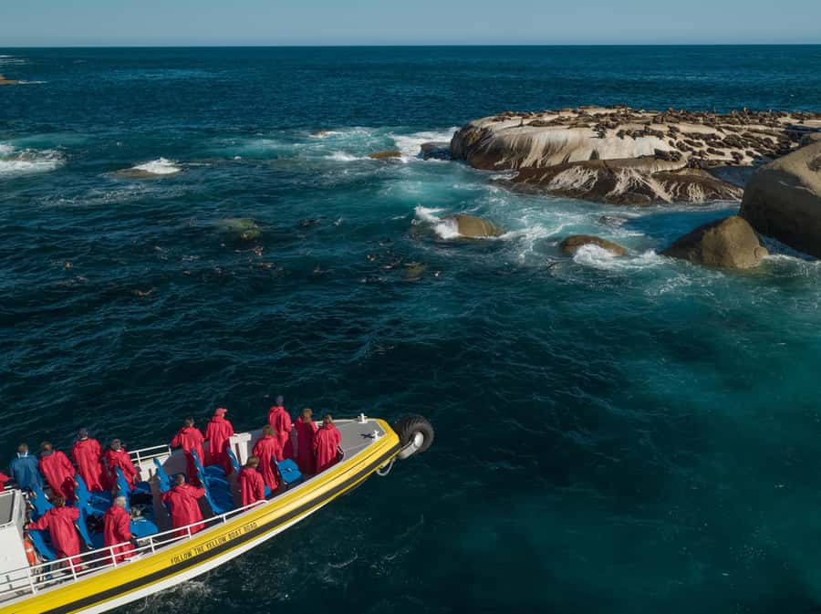 Wilsons Promontory: Afternoon Wilderness Cruise - Check in at Tidal River before the 2pm departure
