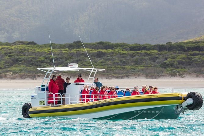 Wilsons Promontory Wilderness Cruise from Tidal River - Skull Rock and the sculpted granite formations