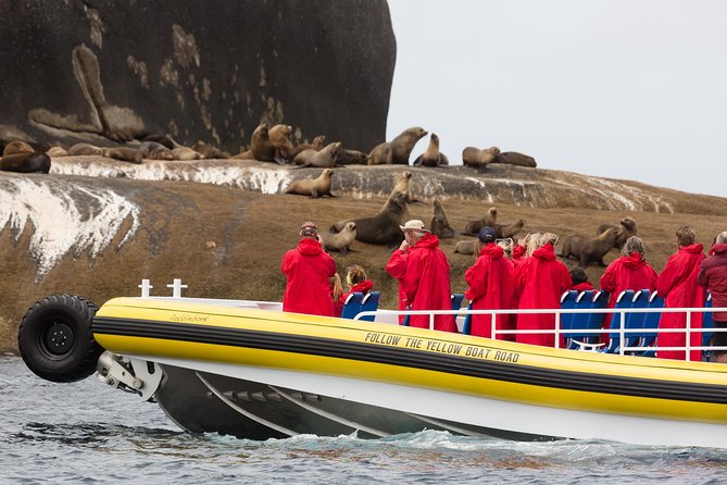 Wilsons Promontory Wilderness Cruise from Tidal River - The guides make the difference